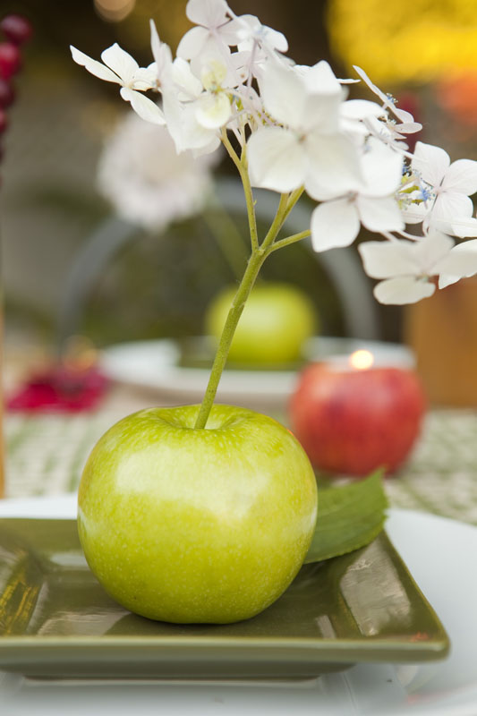 Shannon S Blog Decorate With Apples