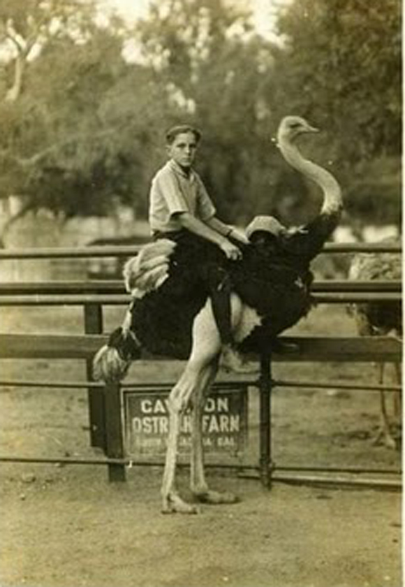 Weirdest history pictures vintage everyday