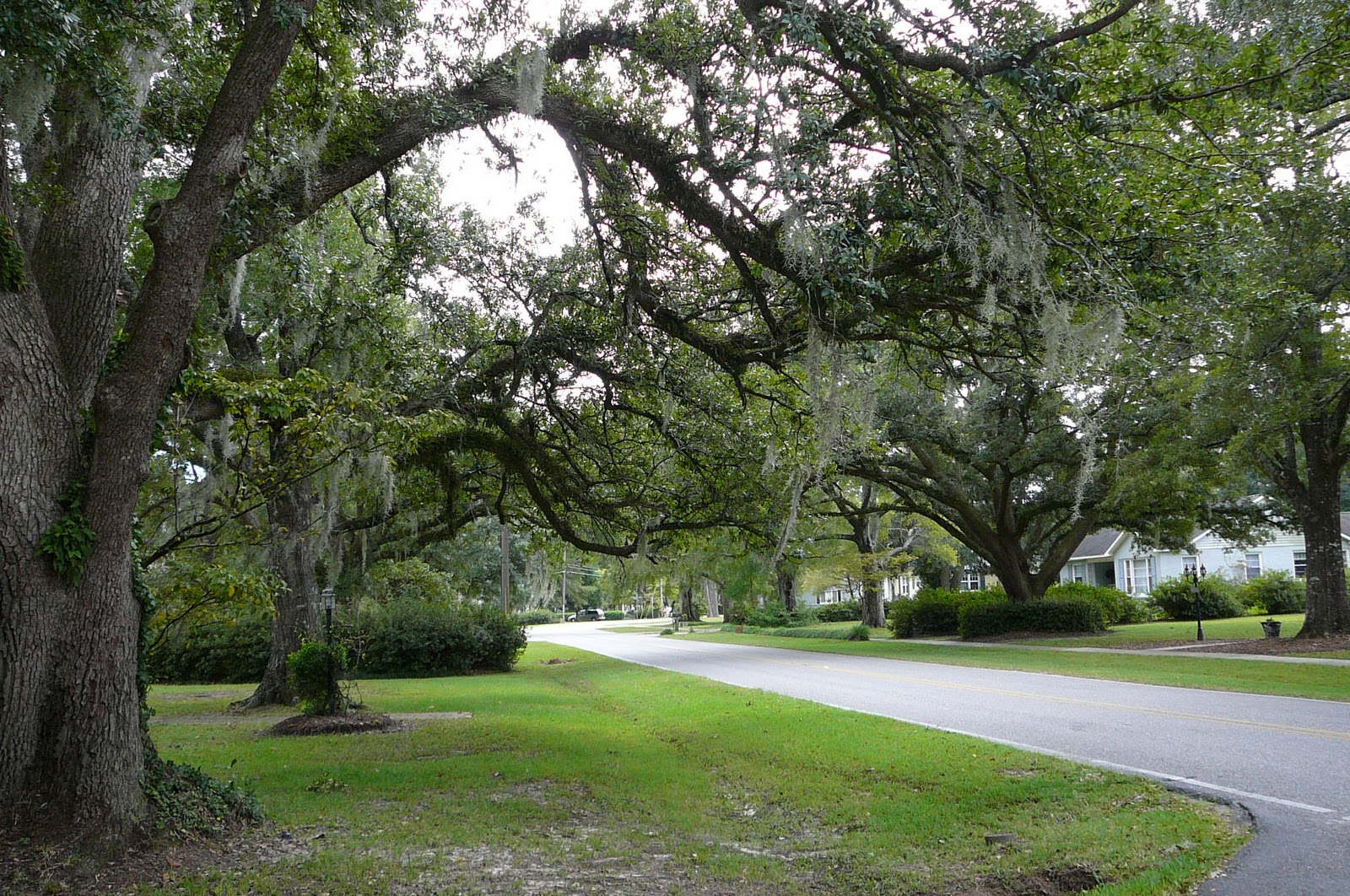 Exploring the High road Conway, South Carolina, my Mom's hometown