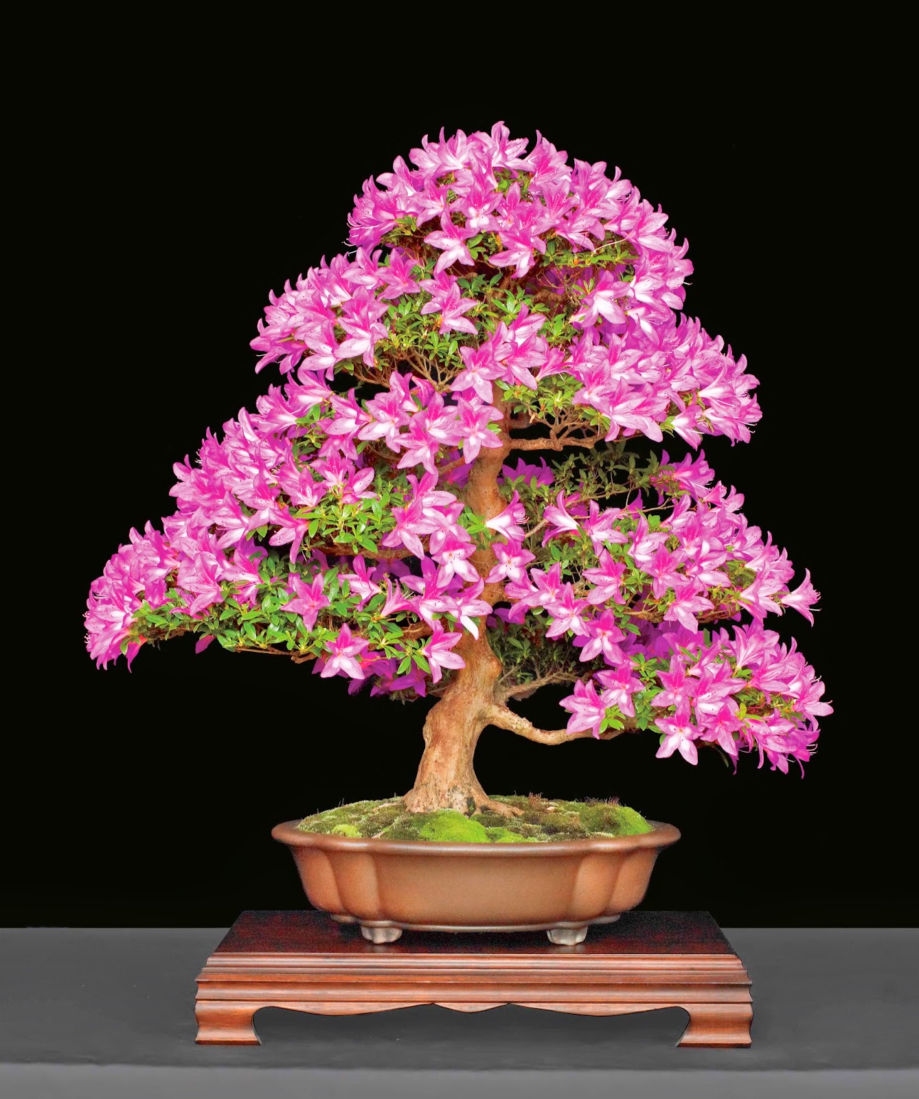 Google Image Result For Http 1 Bp Blogspot Com Bj0n00uezm4