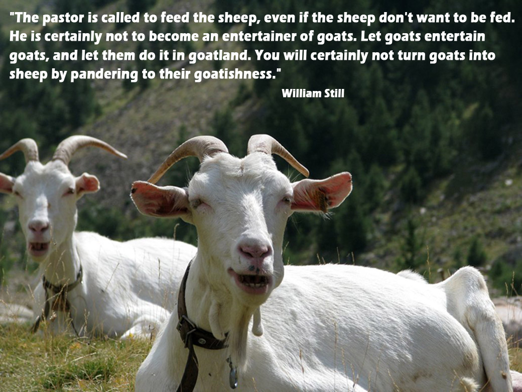 sheep springs christian dating site Comprehensive listings and tickets for every upcoming concert, festival, gig and tour date taking place in colorado springs in 2018. sheep springs christian dating site Comprehensive listings and tickets for every upcoming concert, festival, gig and tour date taking place in colorado springs in 2018.