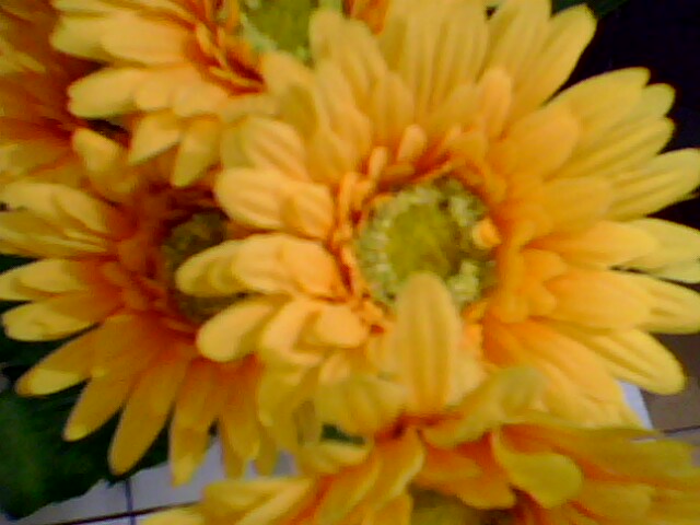 PANTUN ANAK MUDA: pantun di rantau