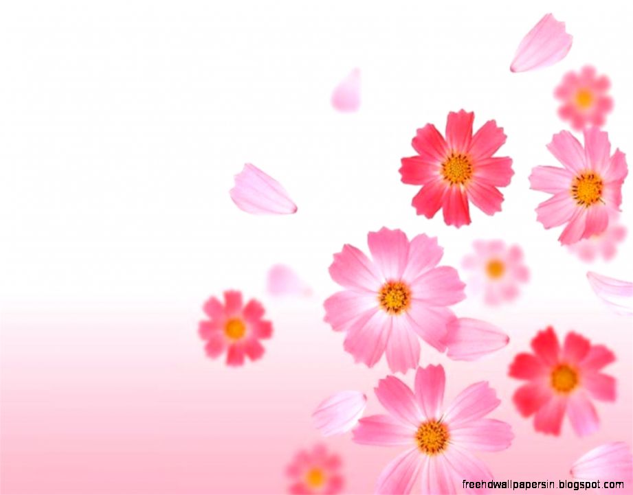 Flower Wallpaper on Pinterest Wallpapers Flower Pictures and Flower Wallpaper on Pinterest Wallpapers Flower Pictures and