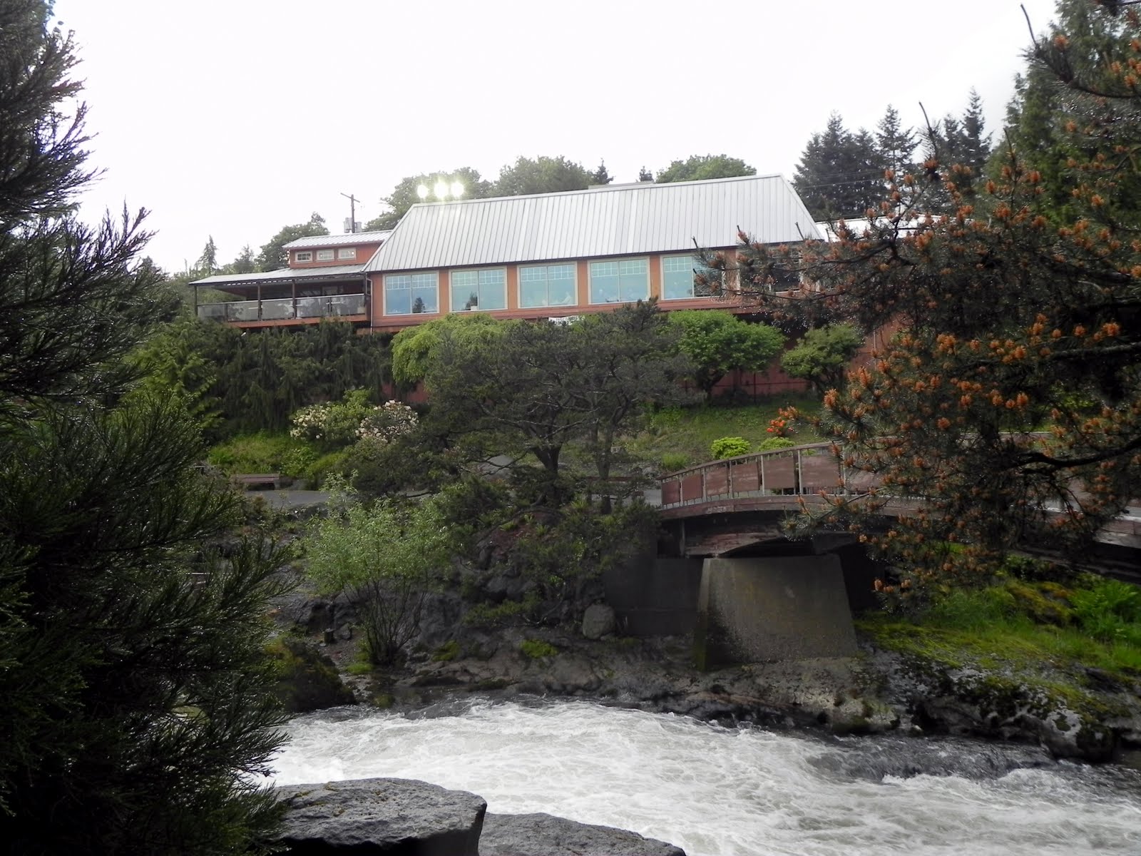 Gone Walkabout 2 Good Eats Falls Terrace restaurant in Tumwater, WA