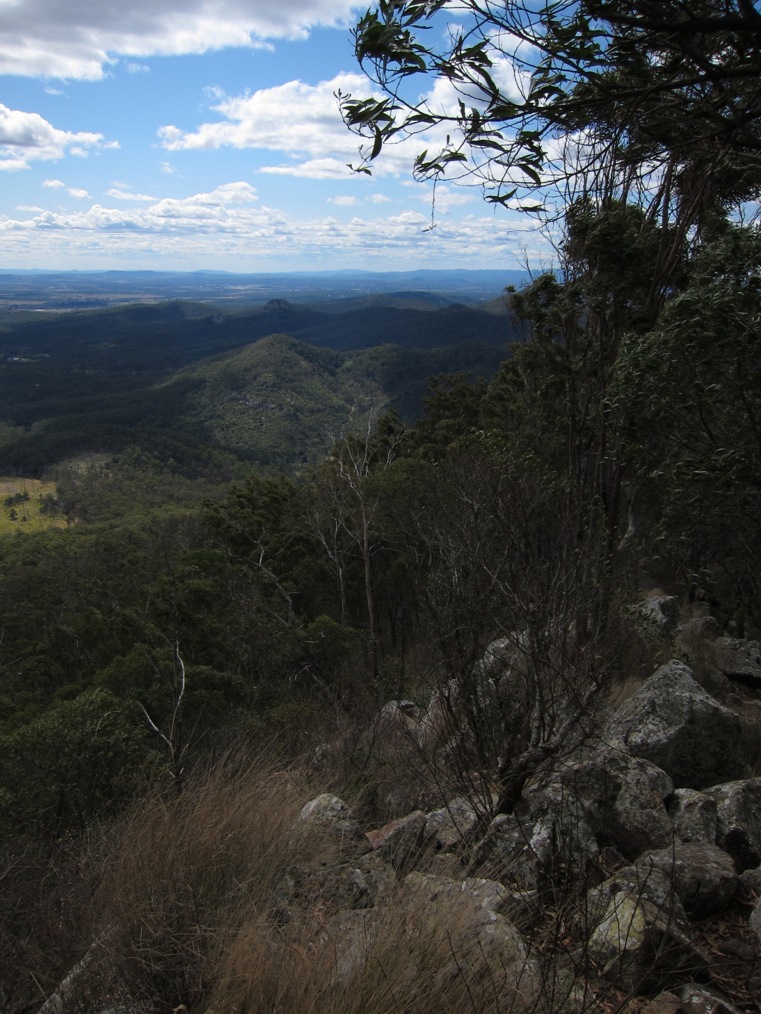 Hiking in S.E. Queensland Flinders Peak