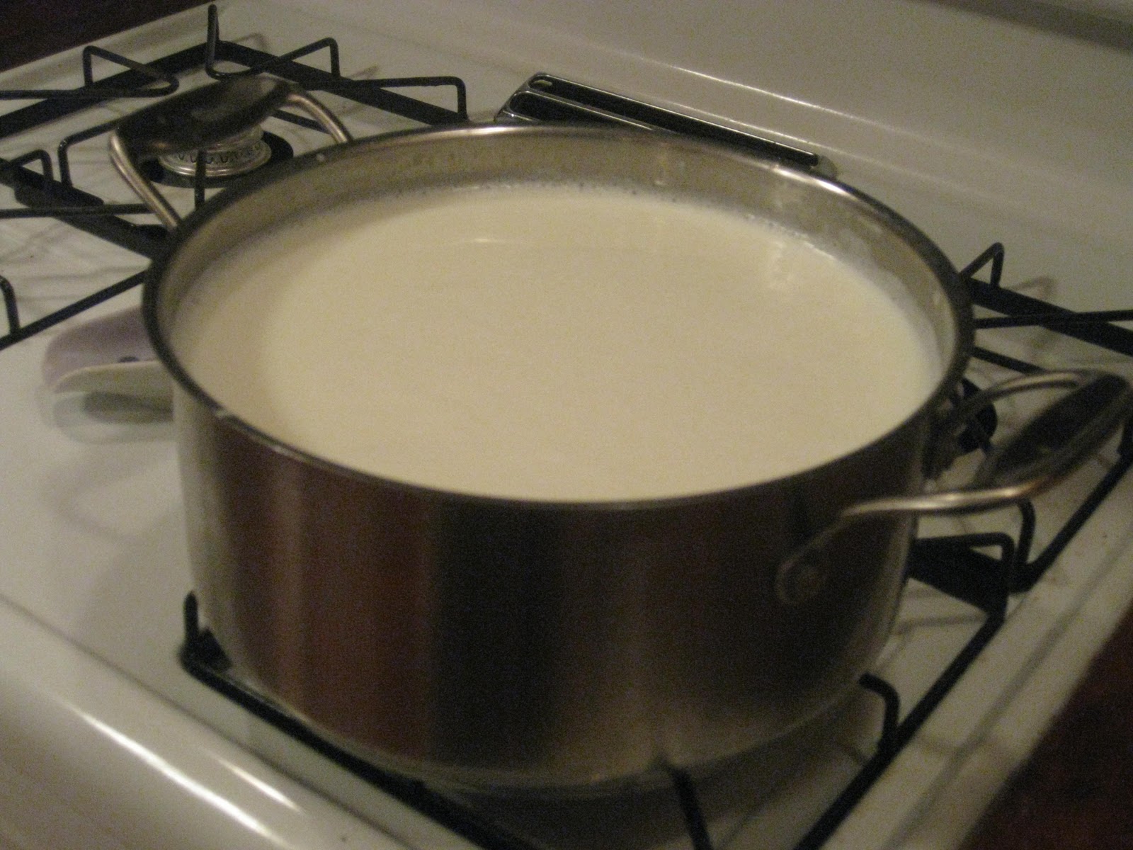 Martin Musings Making Homemade Yogurt