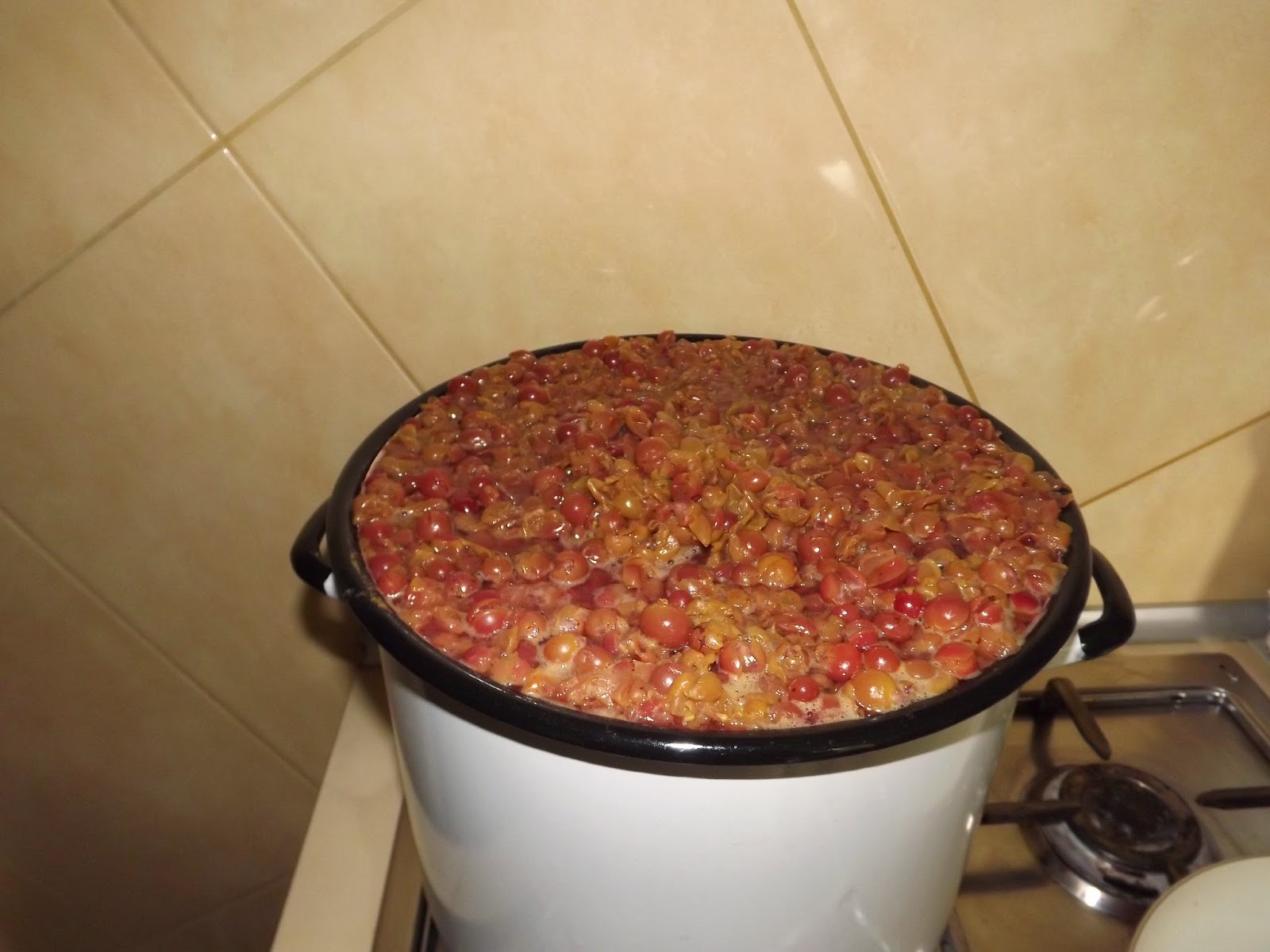 Facet W Kuchni Moje Sprawdzone Przepisy Na Wino