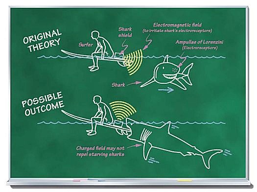 The Best Shark Dive in the World!: Shark Senses and Shark Repellents!