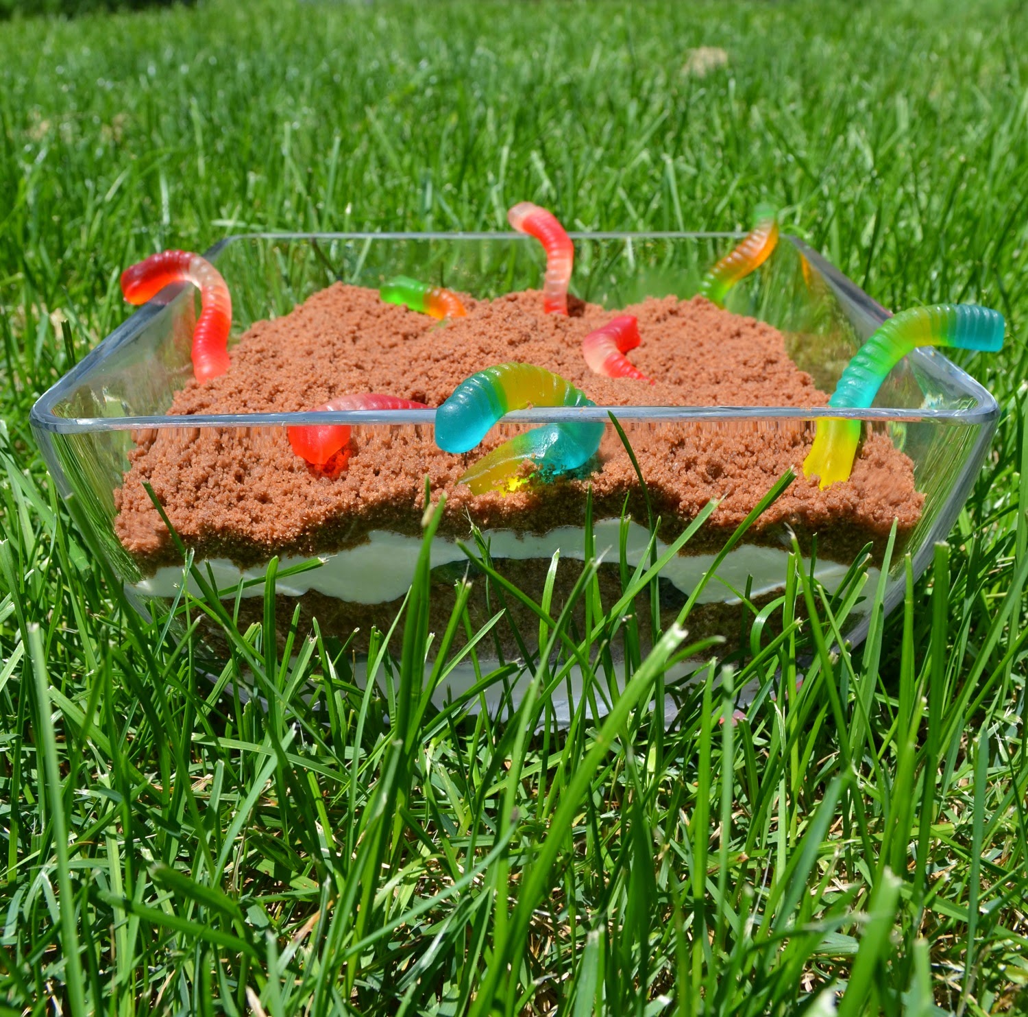Pure and Peanut Free There's a worm in my dirt cake! {Dirt Cake from