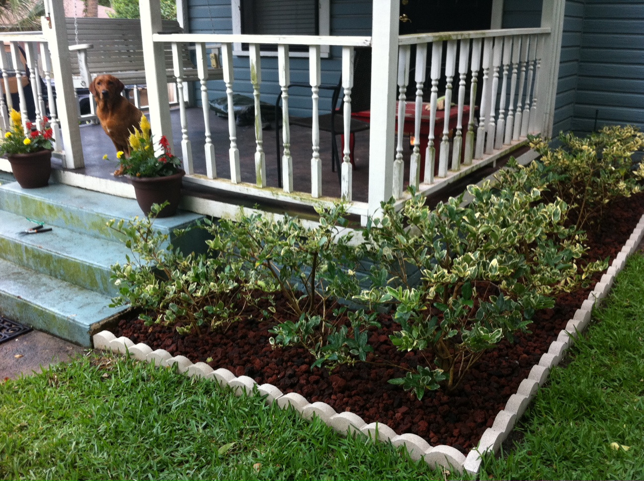 De Magnete: lava rocks are much lighter than regular rocks!