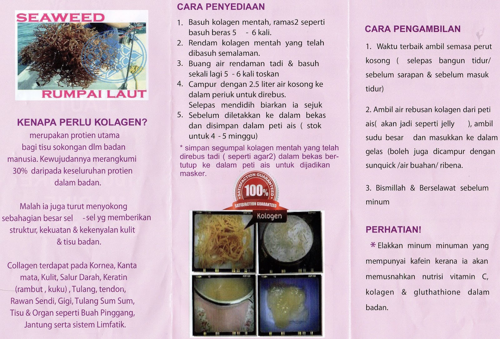 aminteach.blogspot.com: Rumpai Laut