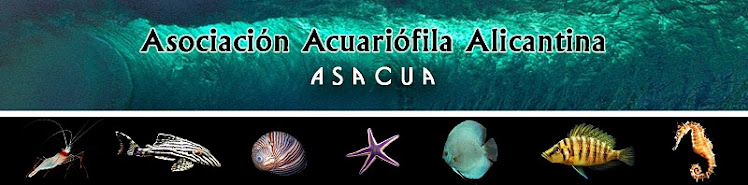 ASACUA