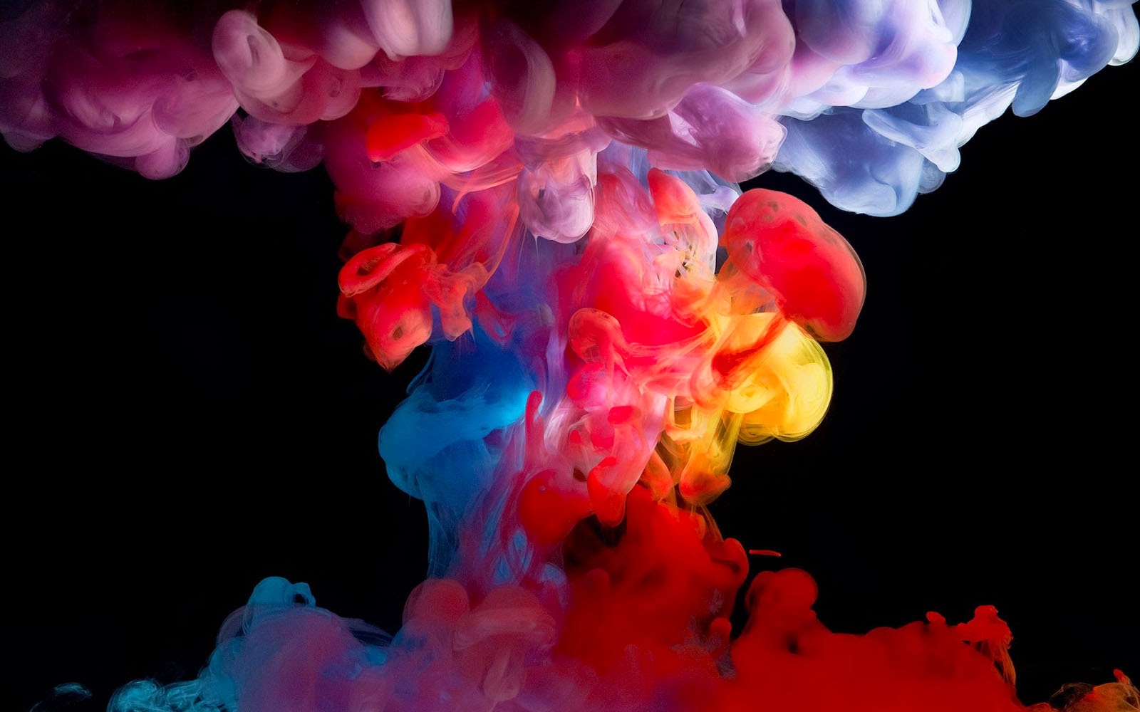 Tag: Colorful S...