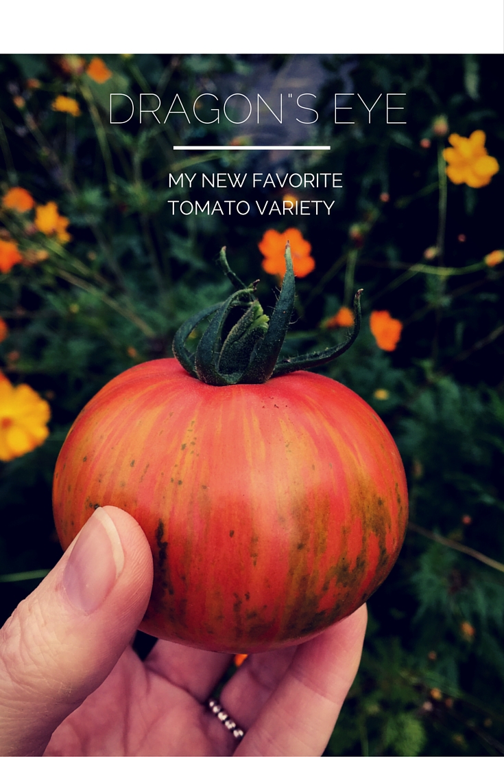 Bell and Star The Most Delicious Tomato in the World