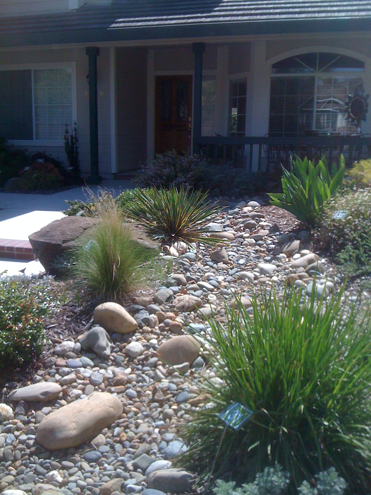 Geno's Garden Design & Coaching | : Lawn-Free Garden Tour