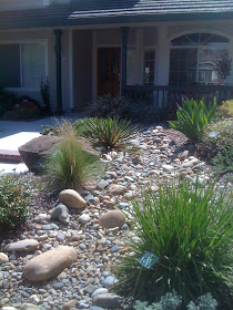 Geno's Garden Design & Coaching | : Lawn-Free Garden Tour