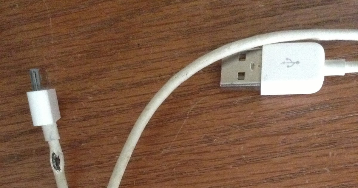 Cavy Savvy A Guinea Pig Blog Warning About Guinea Pigs and Wires