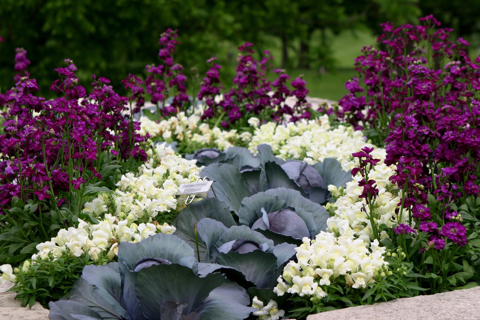 Powell Gardens Blog May 2011