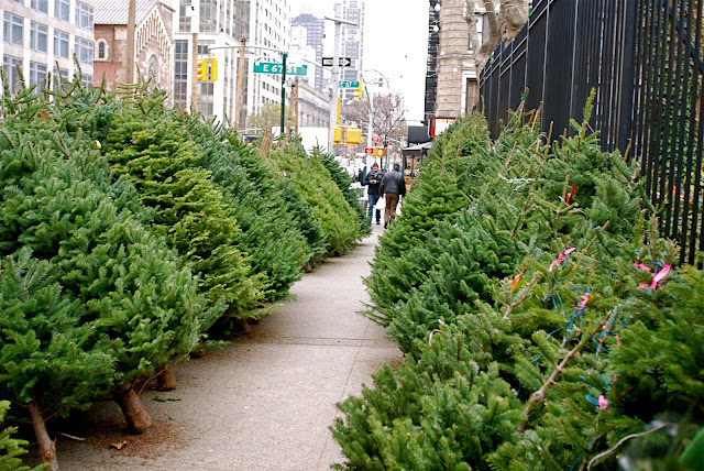 NYC ♥ NYC: Manhattan's Sidewalk Christmas Tree Vendors