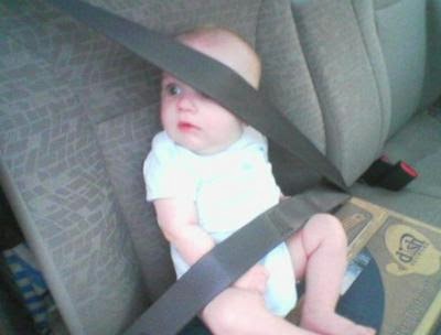 Cheap  Seats  Babies on Cheap Car Seats For Infants   Stidge Com