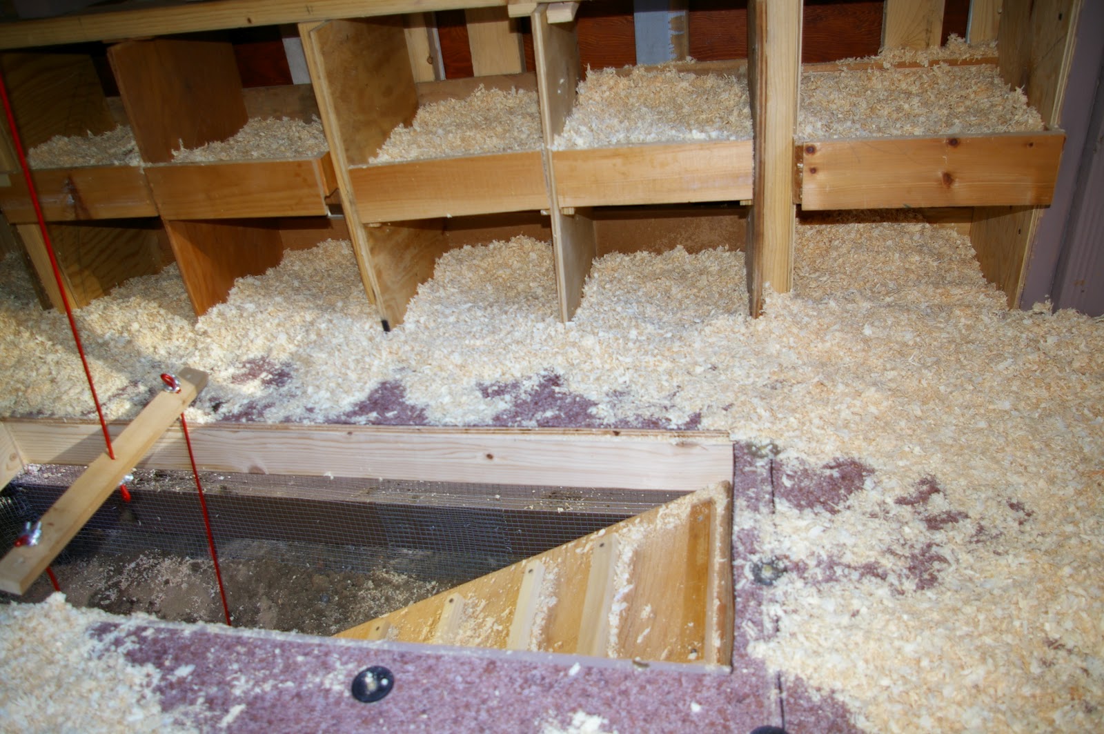 A Playground For Chickens Community Chickens