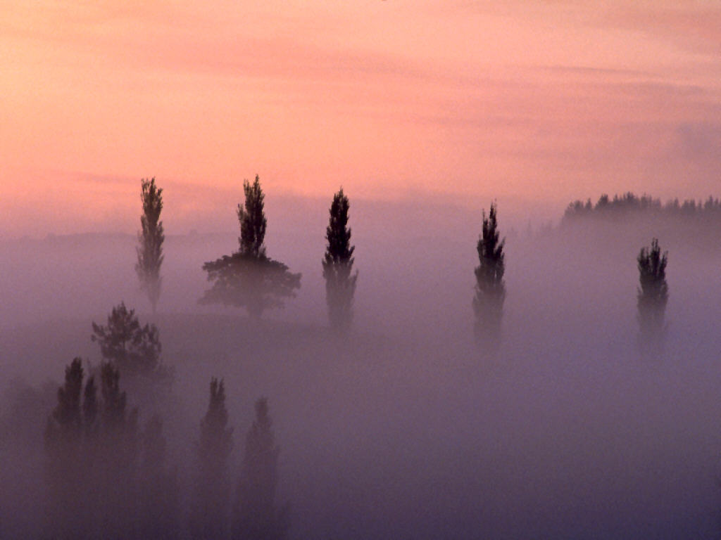 Searching through the mist of