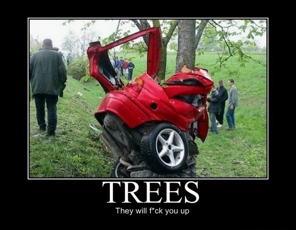 car demotivational