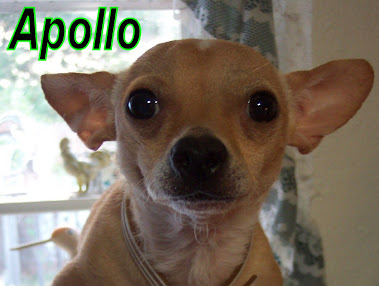 Apollo, The Epic Sci-fi Trilogy