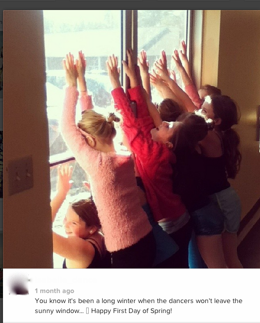 The Dance Buzz 8 Instagram Post Ideas For Your Dance Studio