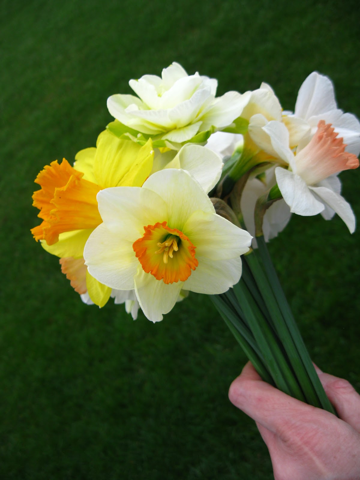 All Things Andrea Daffodil Bouquet
