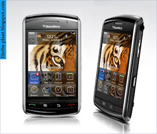 Blackberry storm 9500 - صور موبايل بلاك بيرى ستورم 9500 Blackberry storm 9500 - صور موبايل بلاك بيرى ستورم 9500