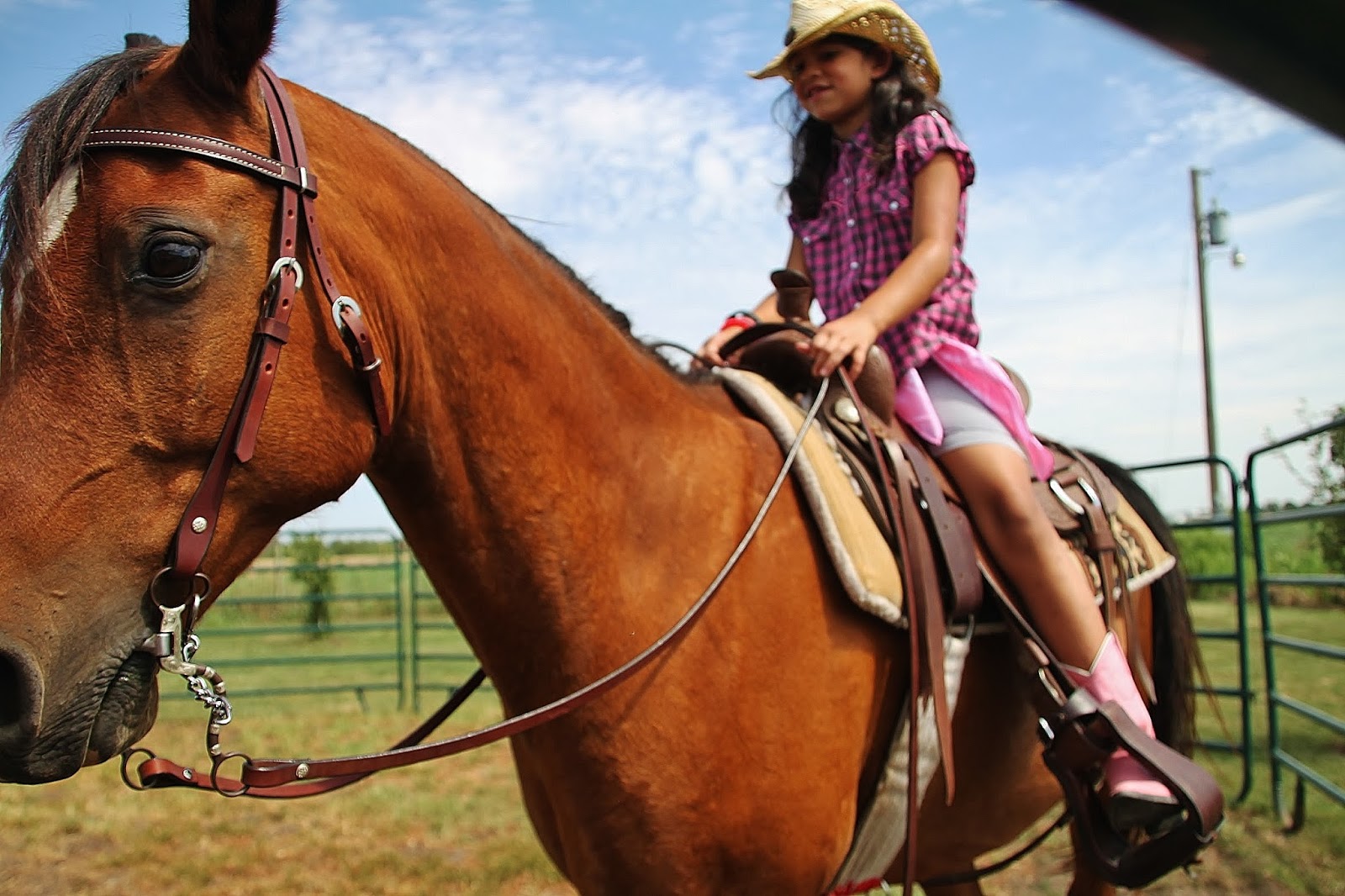Creative Mommas Horse Theme 8 Year Old Birthday Party