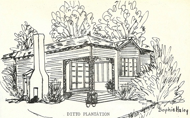 Roots From The Bayou: Ditto Plantation