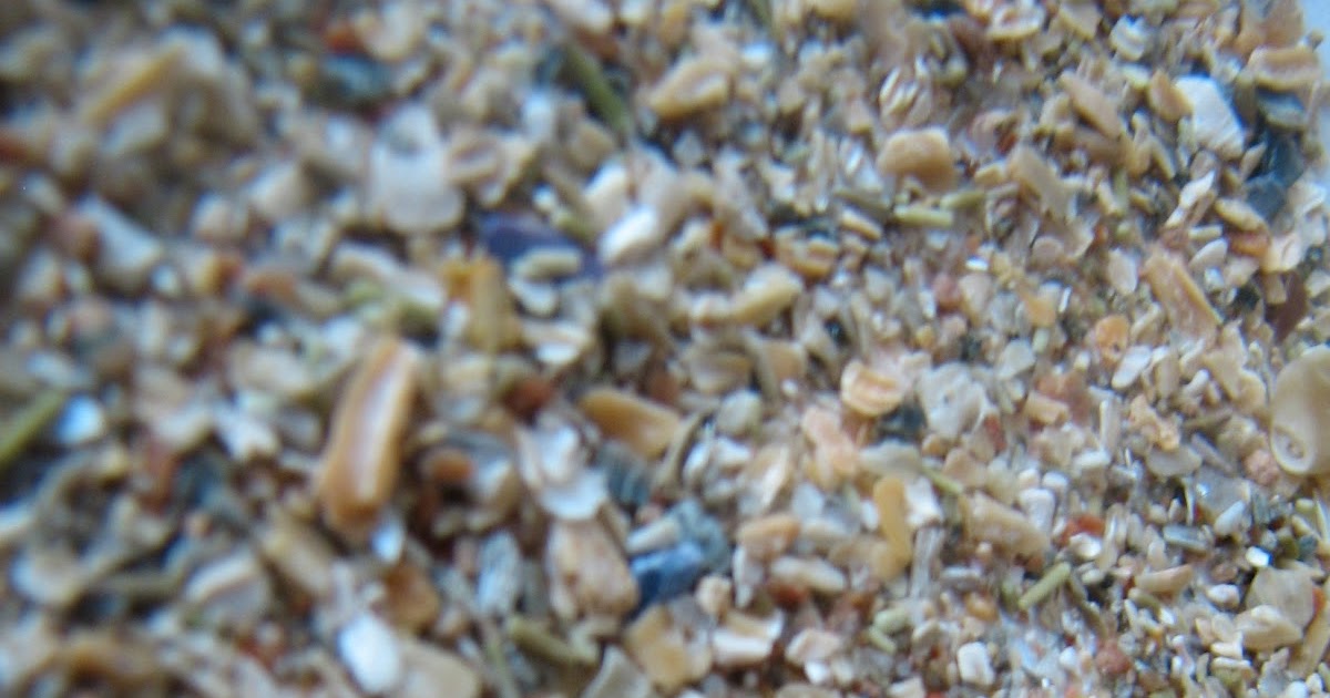 Science Matters Sand Collection