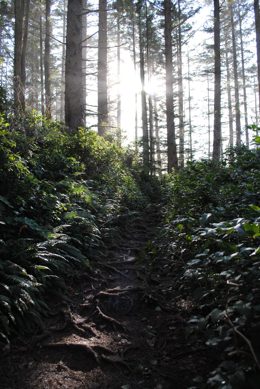 Black Watch Sasquatch Day Trip Oregon Coast Smugglers Cove & Cannon