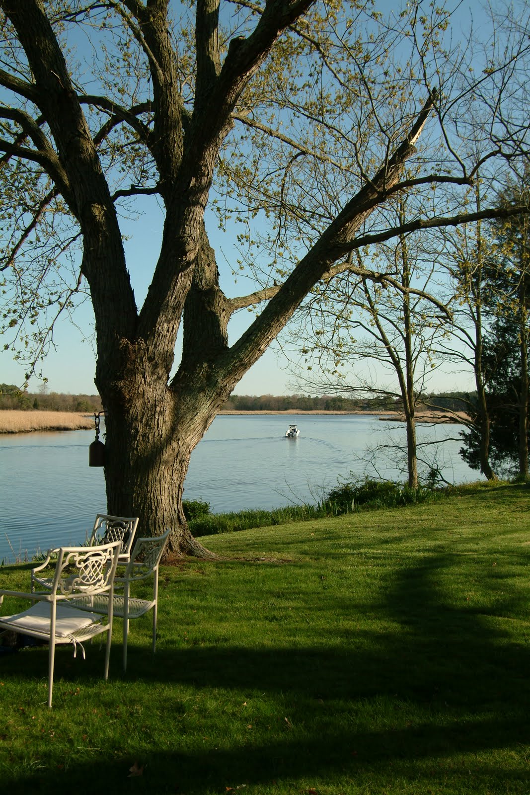 For The Earth The Book Is Here Signing At Barnes And Nobles
