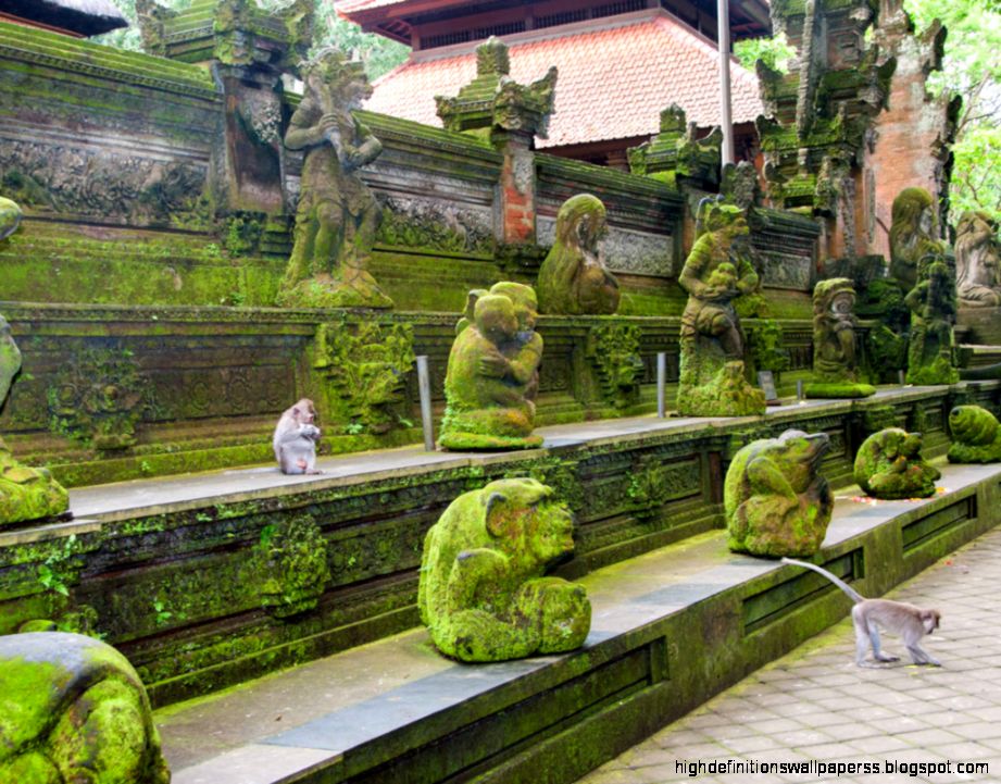 Monkey Forest Ubud » Bali Hello Travel Monkey Forest Ubud » Bali Hello Travel