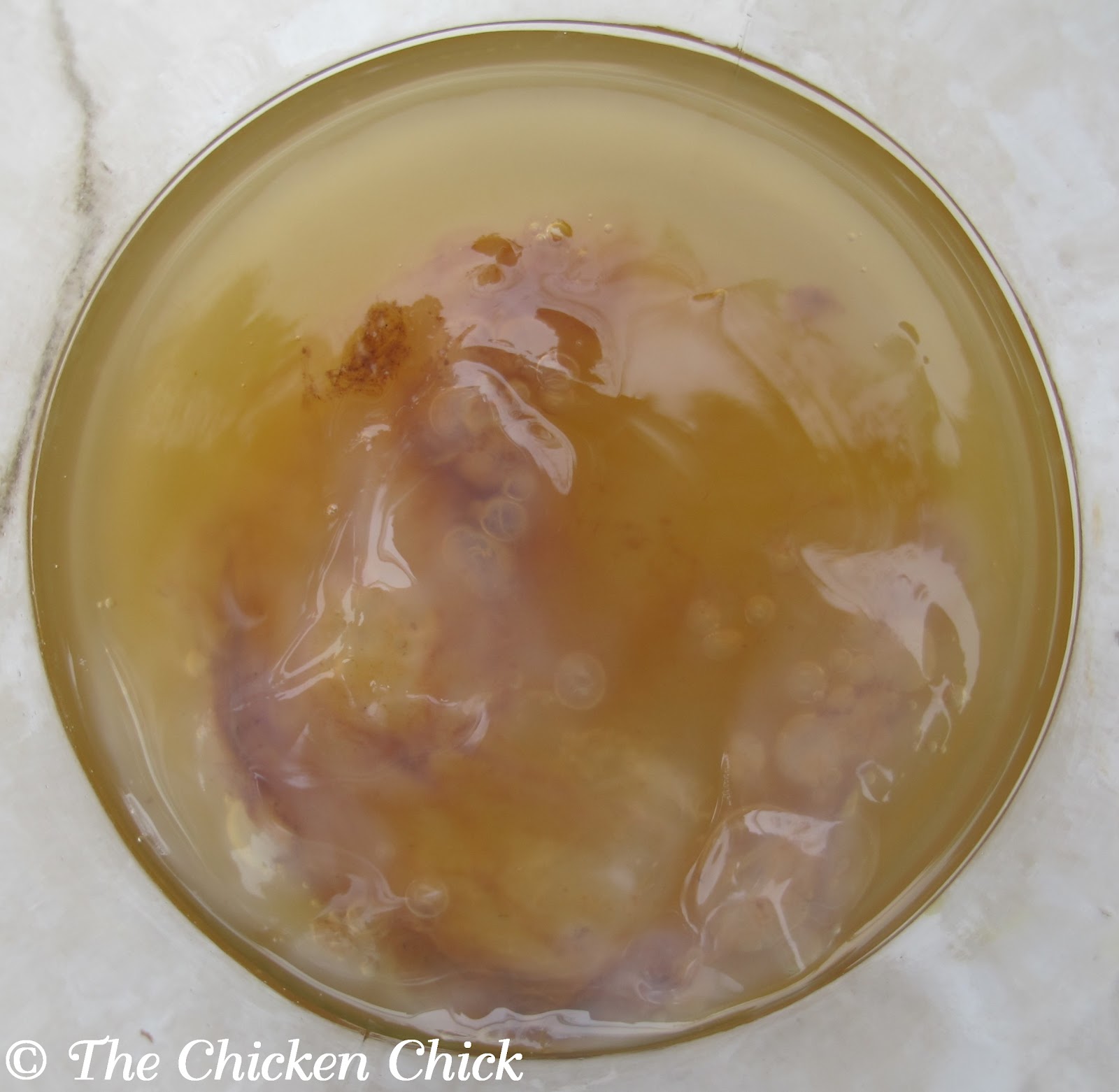 Make Raw Apple Cider Vinegar (ACV) with the Mother for pennies a gallon The Chicken Chick®