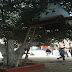 السلطة المحلية بمدينة الجديدة تهدم كوخا فوق أغصان شجرة 