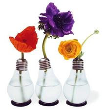 Iluminación y decoración
