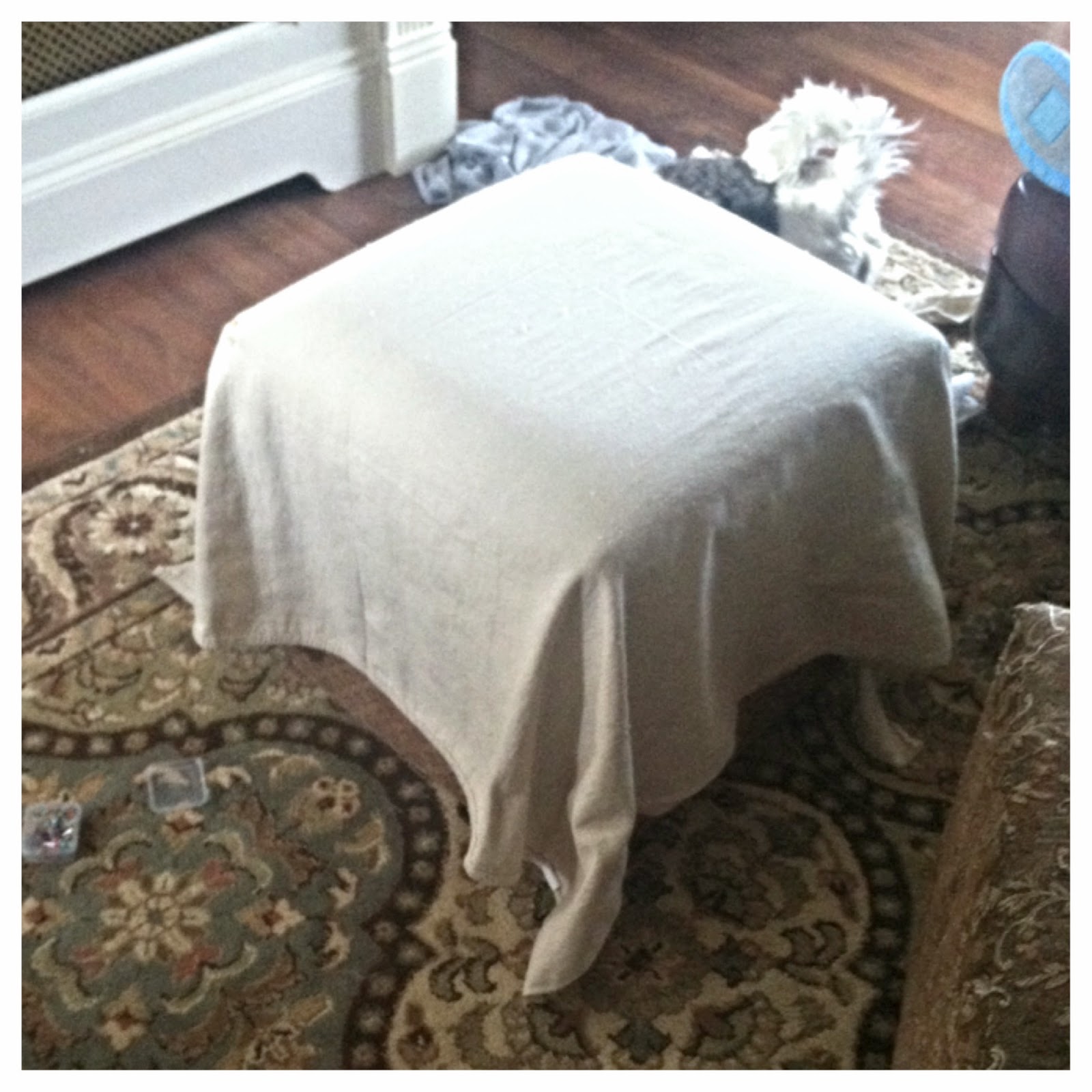 Hailee Tay Hand Sewn Ruffled Slipcover for a Cube (Ottoman)