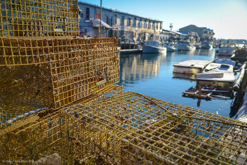 Custom House Wharf Lobster Traps Portland, Maine Winter Waterfront Morning photo by Corey Templeton