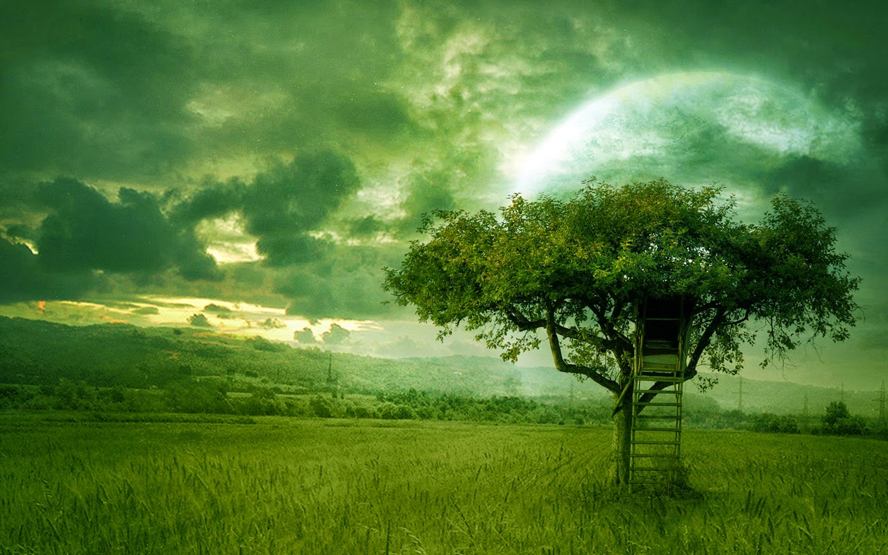 Downlode your choose desktop wallpaper Wallpaper Gallery