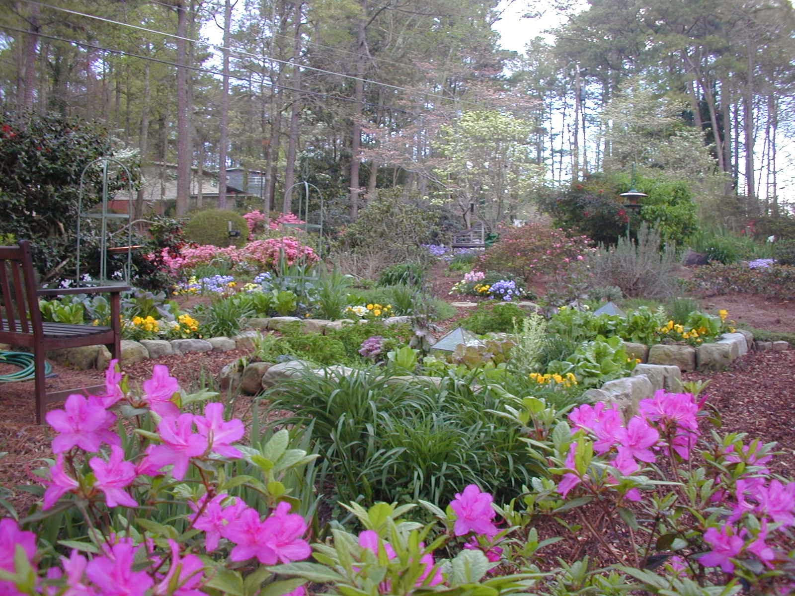 18 Landscaping Rules For Your Home The Dirt Blog Stauffers