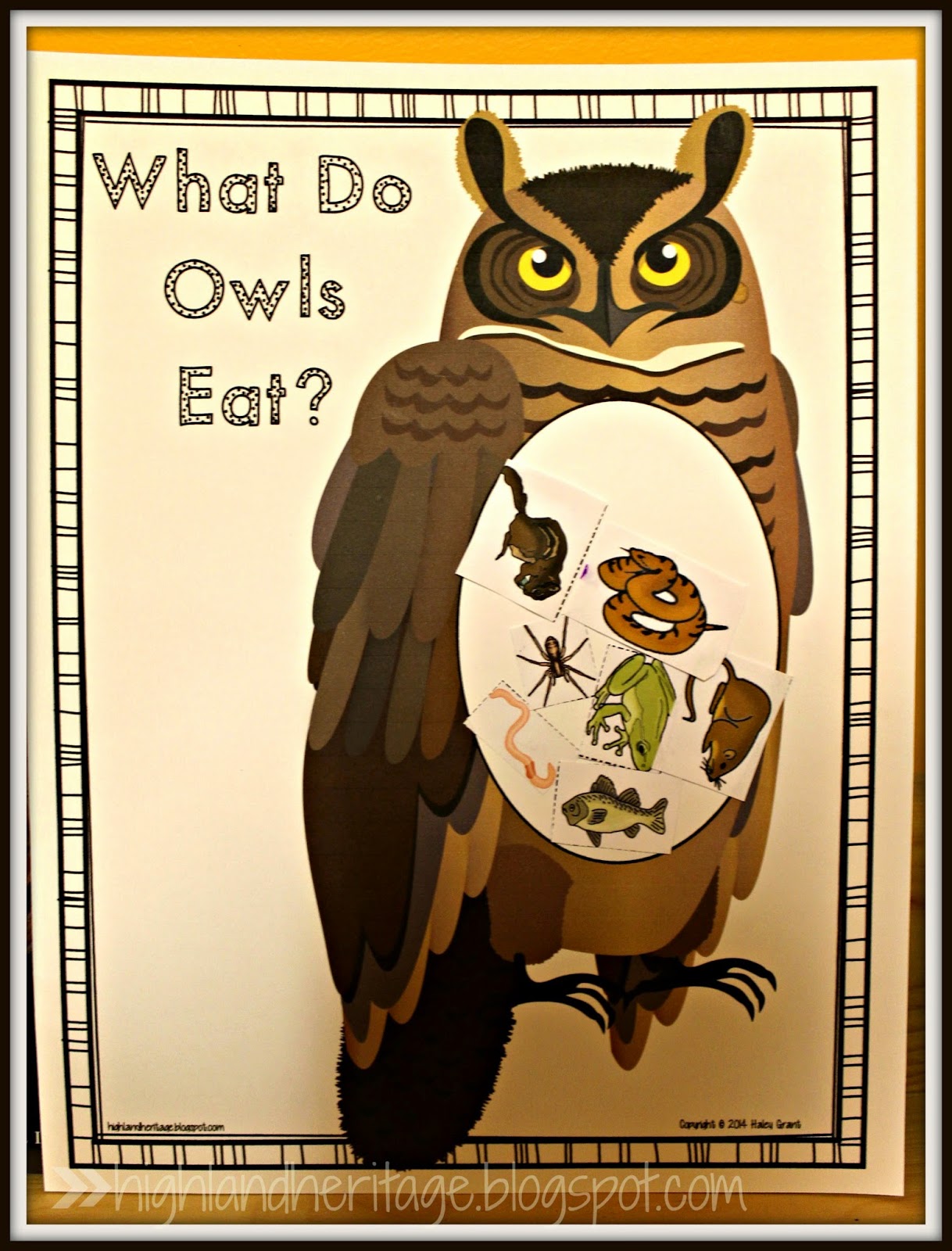Highland Heritage Homeschool Owl Week (with freebies!)