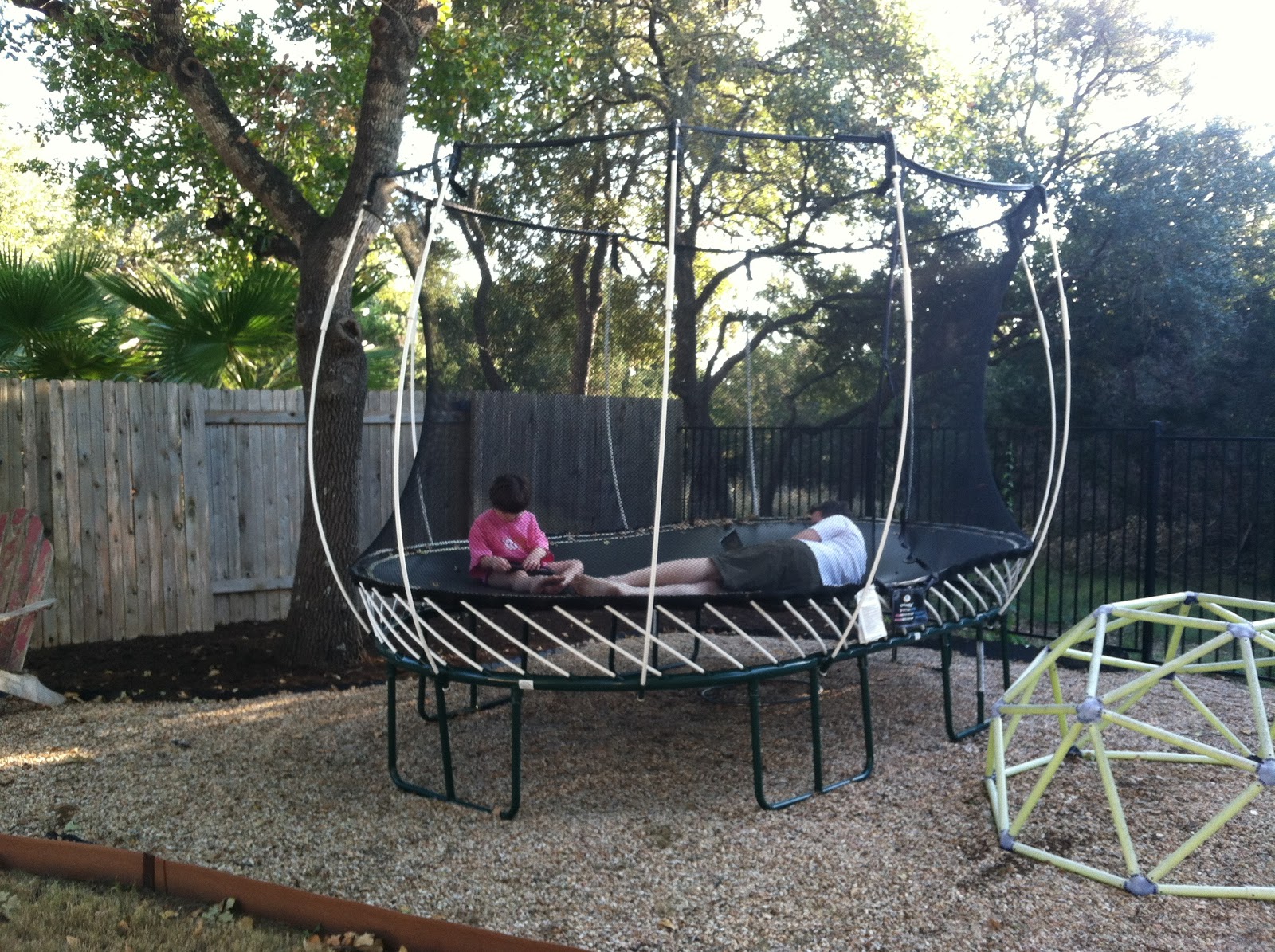 Along Came the Bird 31 Days to Crazy Joy Finale