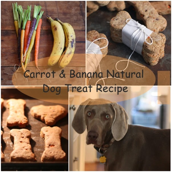 Carrot & Banana Natural Dog Treat Recipe Handy DIY