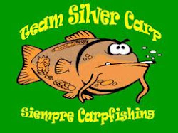 silver-carp.blogspot.com