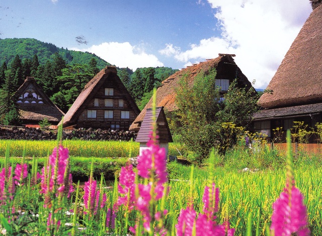 Mpv landskap dan nurseri: panorama indah setiap musim di shirakawa ...