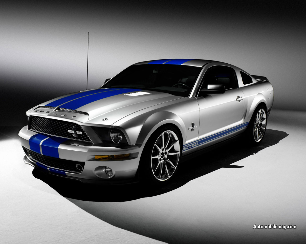 Mustang Shelby   Mustang